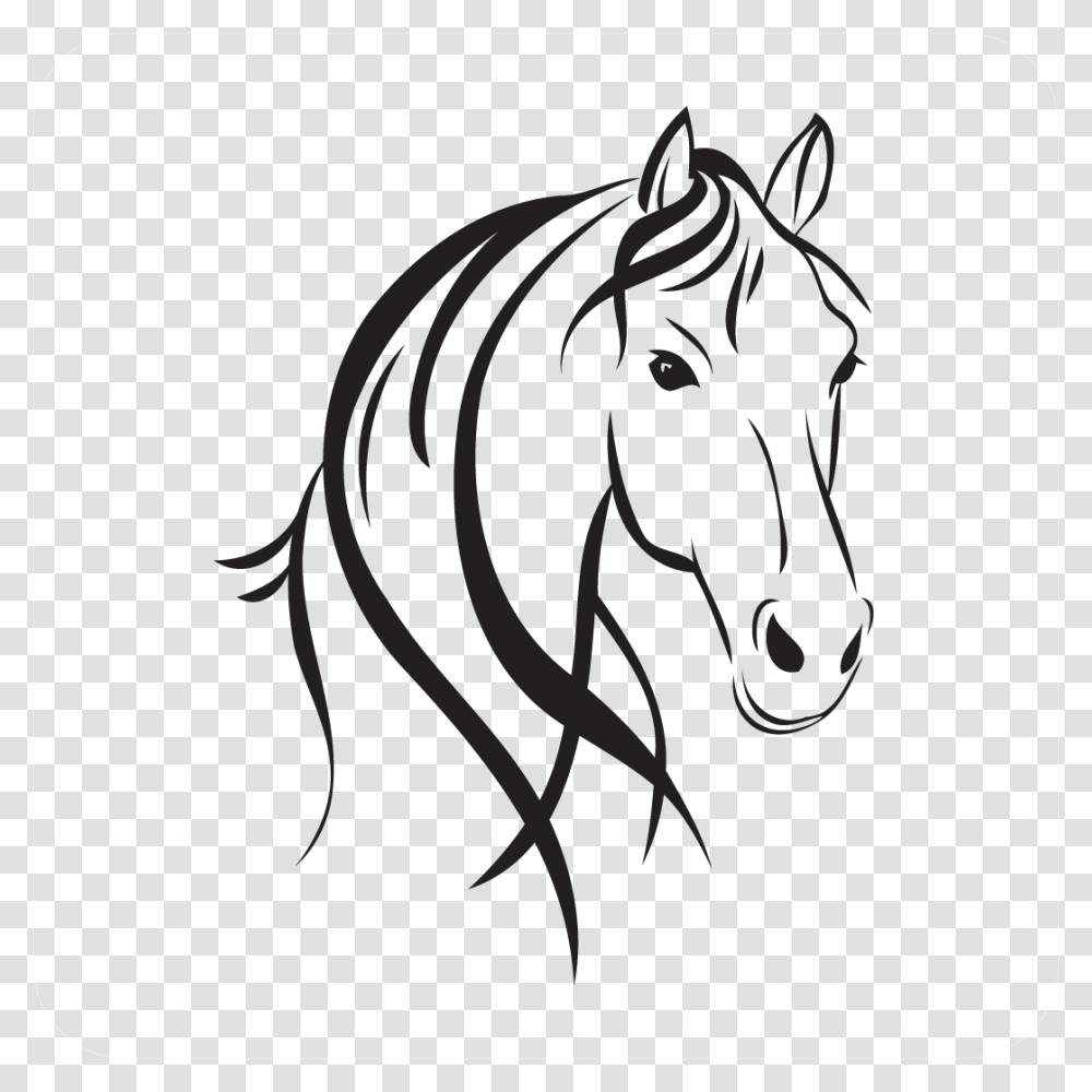 Horse Head, Mammal, Animal, Stencil, Colt Horse Transparent Png