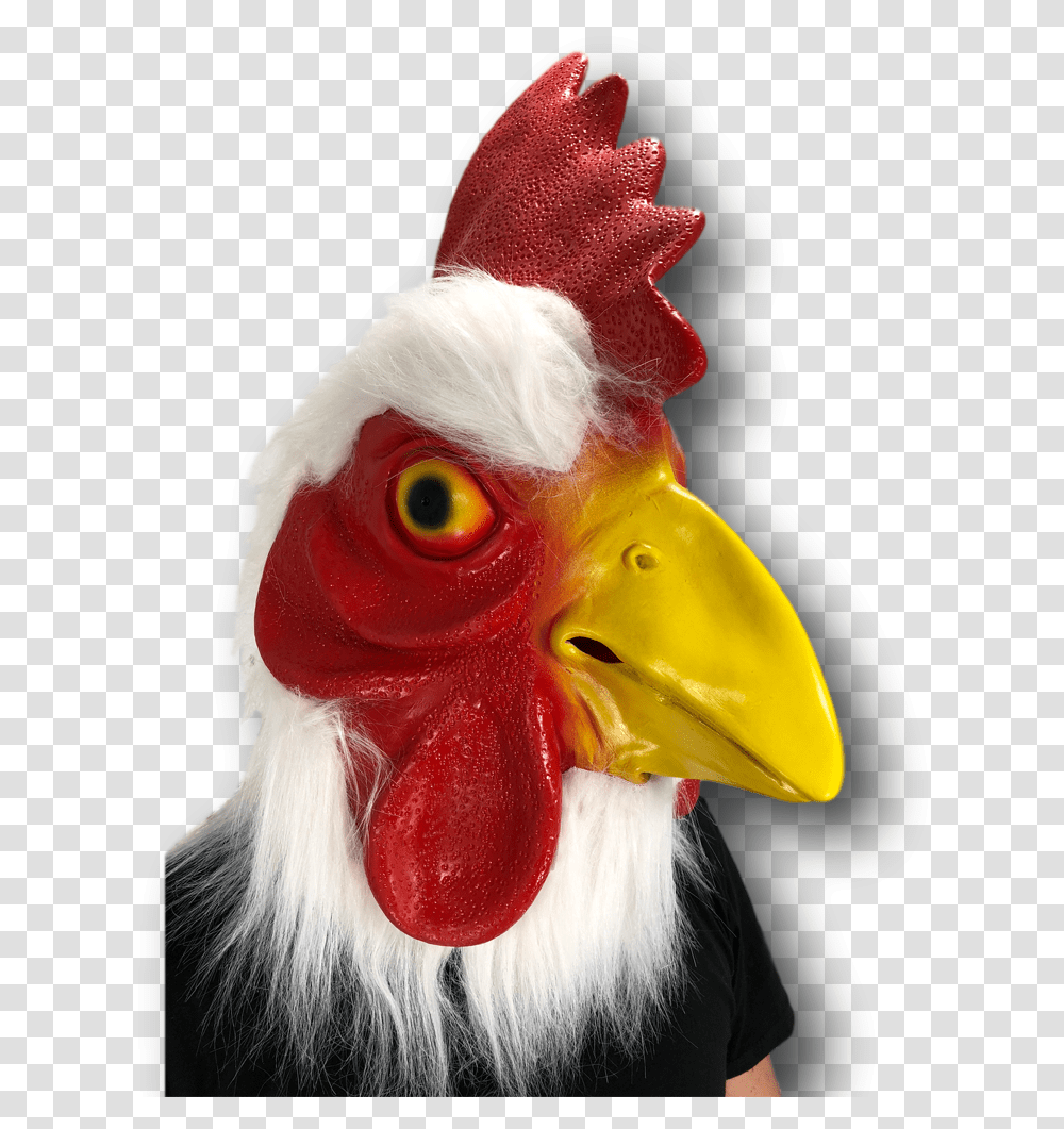 Horse Head Mask, Beak, Bird, Animal, Chicken Transparent Png