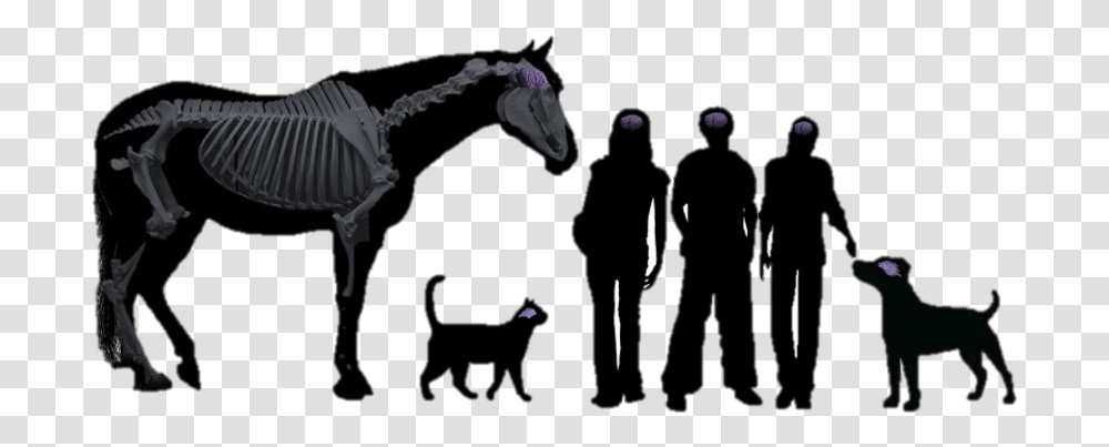 Horse Head Silhouette, Person, Leisure Activities, Mammal, Animal Transparent Png