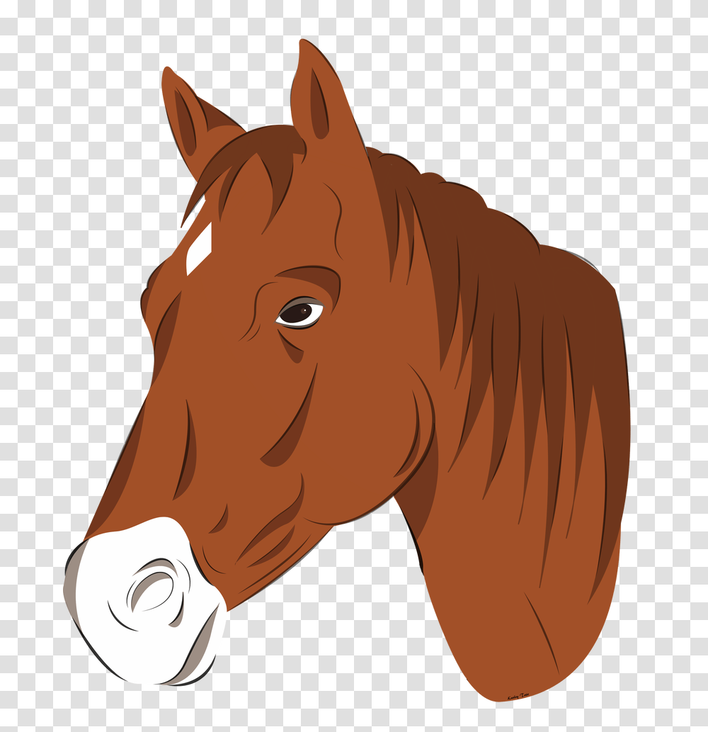 Horse Head Vector, Mammal, Animal, Colt Horse, Foal Transparent Png