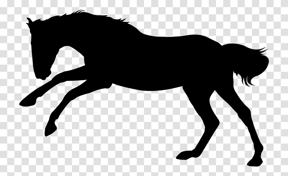 Horse Horse Gallop Gallop Animal Stallion Animated Horse Silhouette, Gray, World Of Warcraft Transparent Png