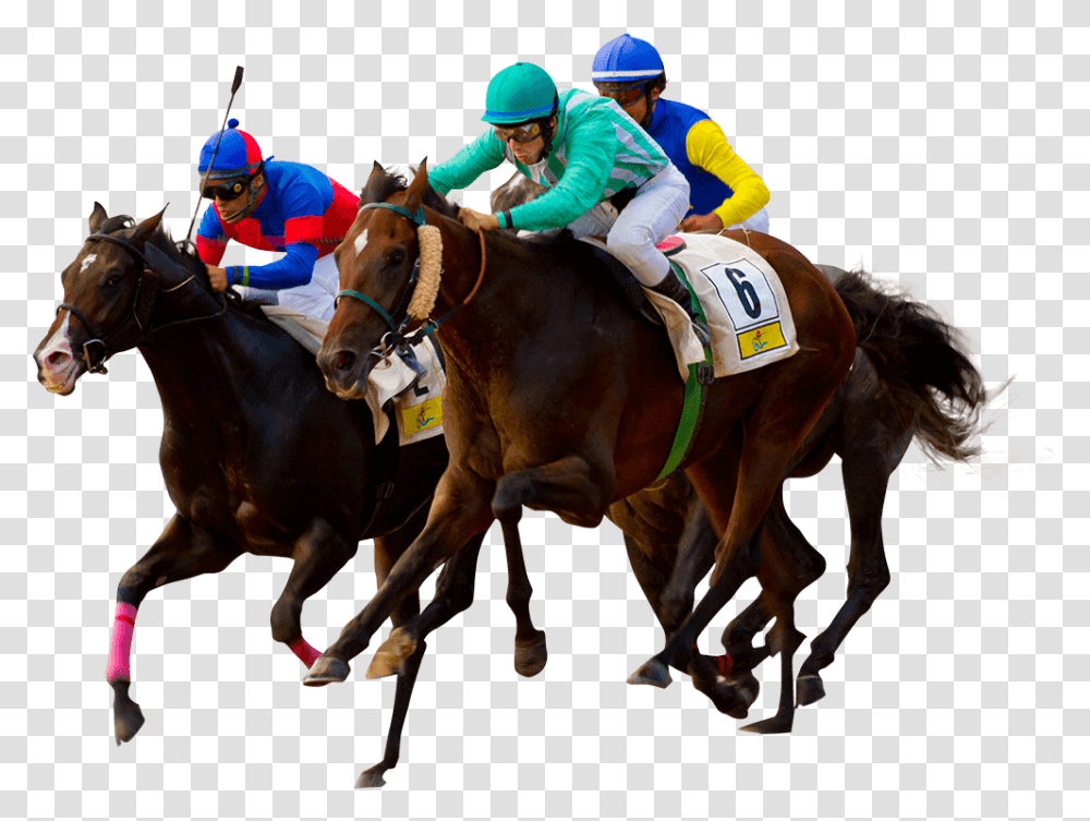 Horse Horse Racing Flat Racing, Person, Human, Equestrian, Mammal Transparent Png