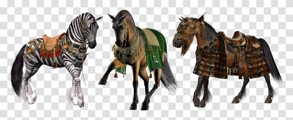 Horse Horses Pony Ponies Equestrian Stallion Star Stable Stable, Mammal, Animal, Costume Transparent Png