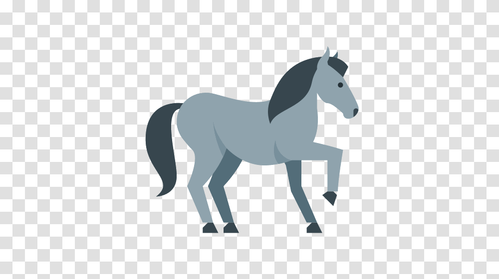Horse Icons, Mammal, Animal, Foal, Colt Horse Transparent Png