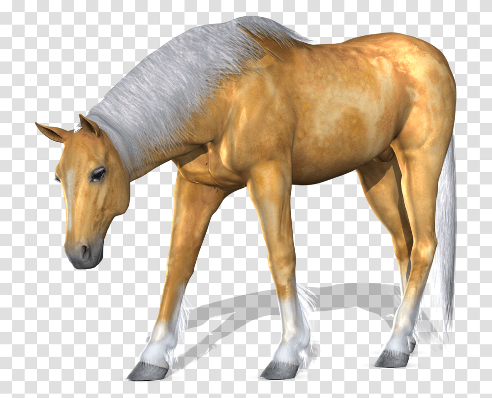Horse Image 3d Horse, Colt Horse, Mammal, Animal, Foal Transparent Png