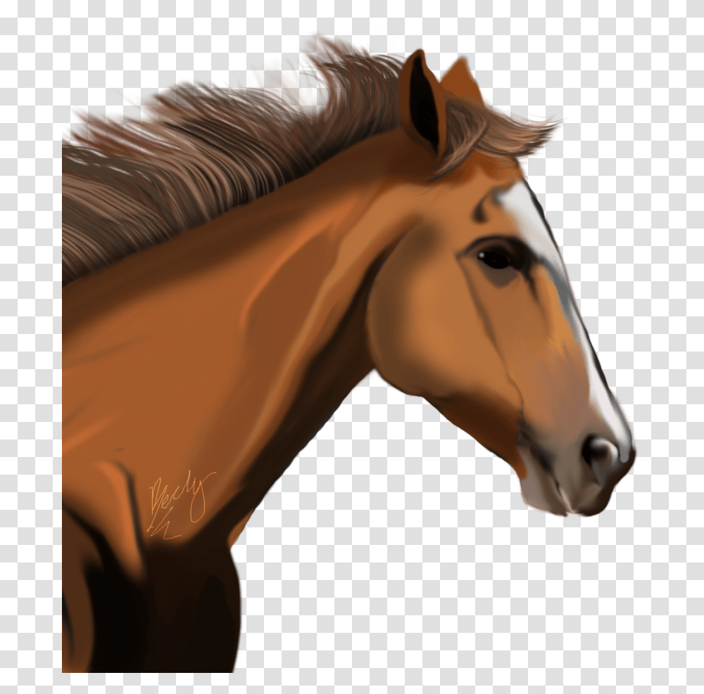 Horse Image Download Picture Horse Head Clipart, Mammal, Animal, Colt Horse Transparent Png