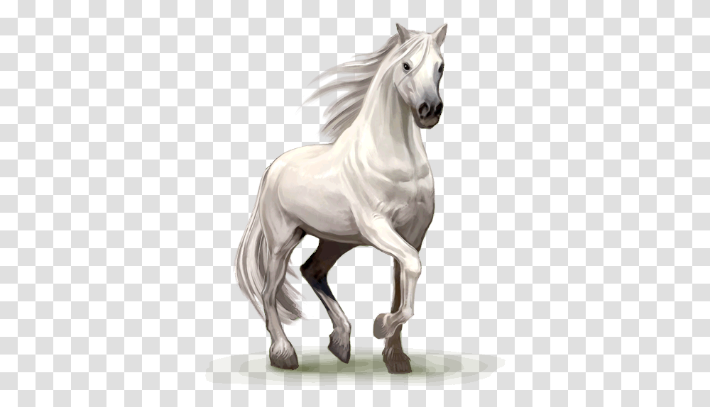 Horse Image Horse, Andalusian Horse, Mammal, Animal, Stallion Transparent Png