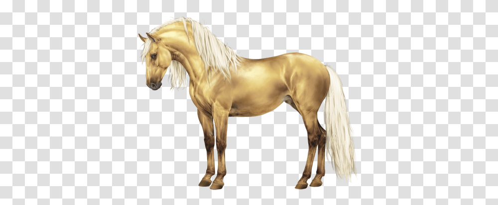 Horse Image Stallion, Mammal, Animal, Colt Horse, Andalusian Horse Transparent Png