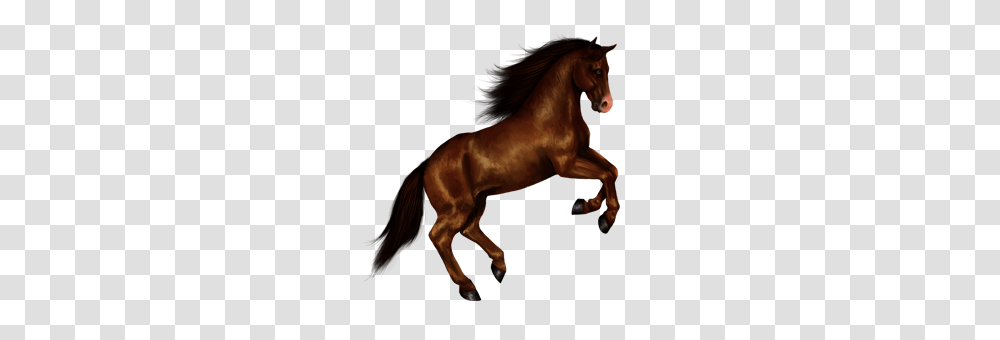 Horse Images Horse Clipart Free Download, Mammal, Animal, Colt Horse, Stallion Transparent Png