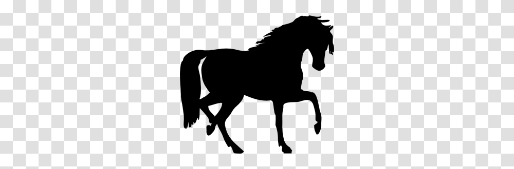 Horse Images Icon Cliparts, Gray, World Of Warcraft Transparent Png
