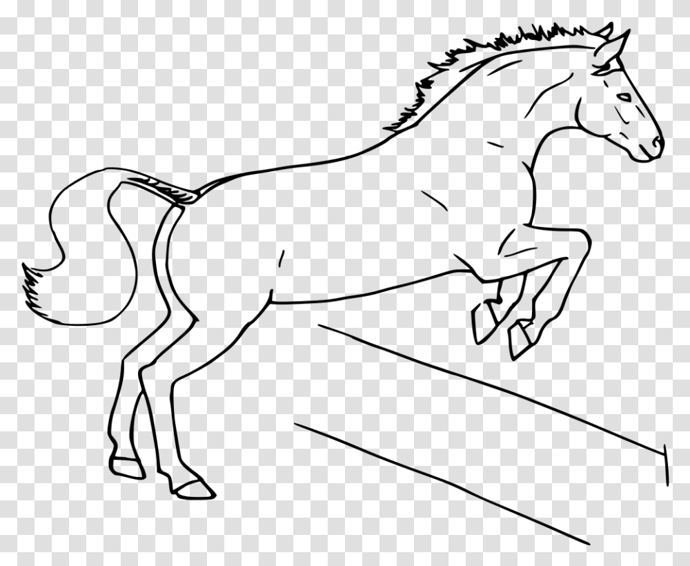 Horse Jumping Fence Draw A Horse Jumping, Gray, World Of Warcraft Transparent Png