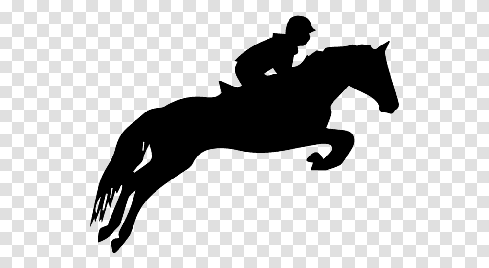 Horse Jumping Silhouette, Gray, World Of Warcraft Transparent Png