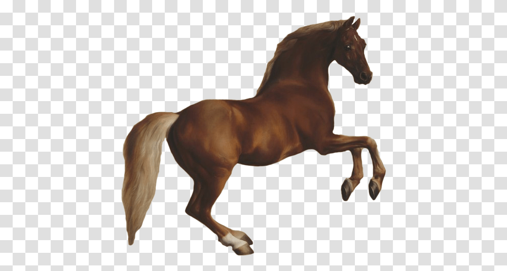 Horse Jumping The National Gallery Shop, Mammal, Animal, Colt Horse, Stallion Transparent Png