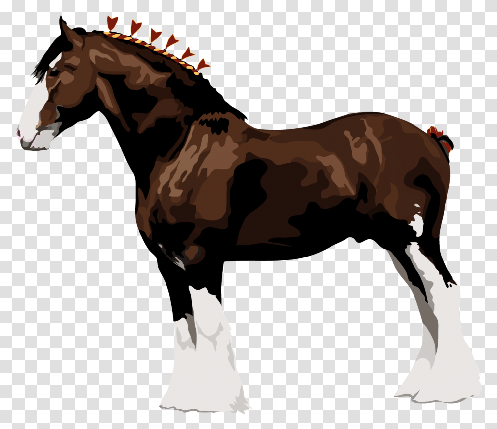 Horse Leg De Cavalo Clydesdale, Mammal, Animal, Wildlife Transparent Png