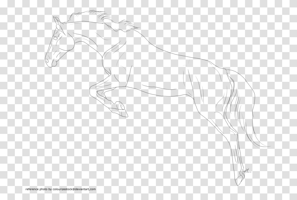 Horse Lineart Favourites By Lettersfromhere Jumping Horse Line Art, Gray, World Of Warcraft Transparent Png