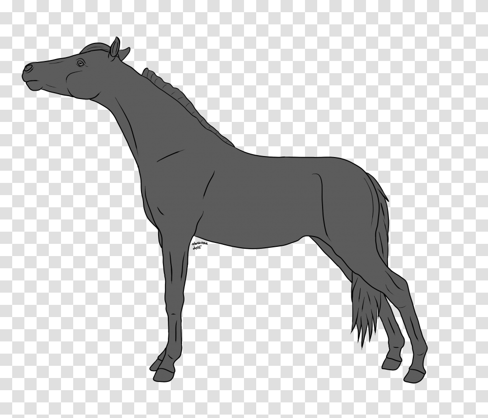 Horse Lineart Horses With Tack And Riders On Equinelineart, Mammal, Animal, Colt Horse, Foal Transparent Png