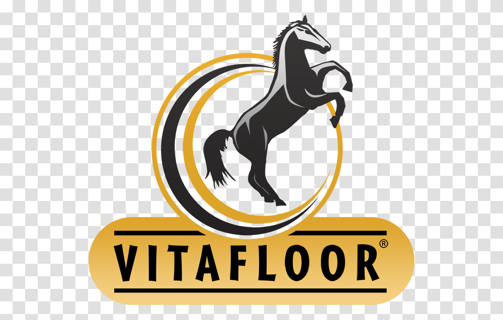 Horse Logo, Poster, Advertisement, Flyer, Paper Transparent Png