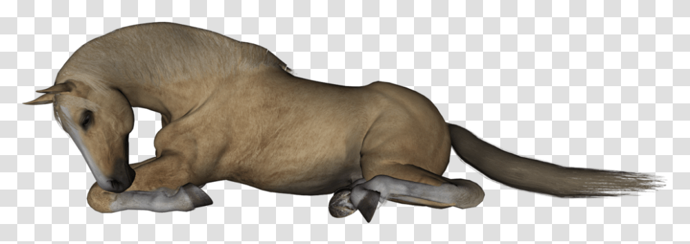 Horse Lying Down Clipart, Mammal, Animal, Dog, Pet Transparent Png
