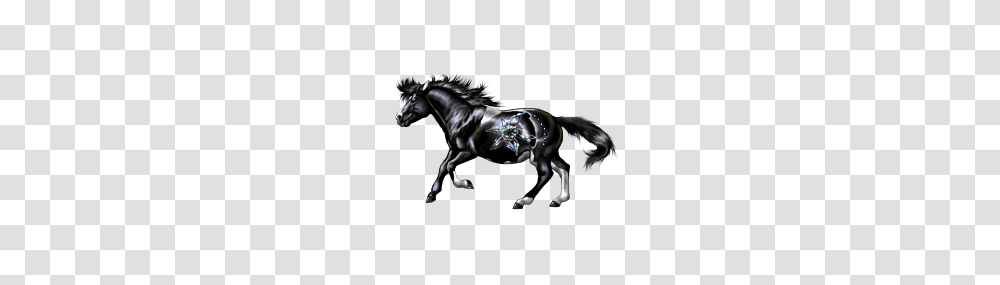 Horse, Mammal, Animal, Andalusian Horse Transparent Png