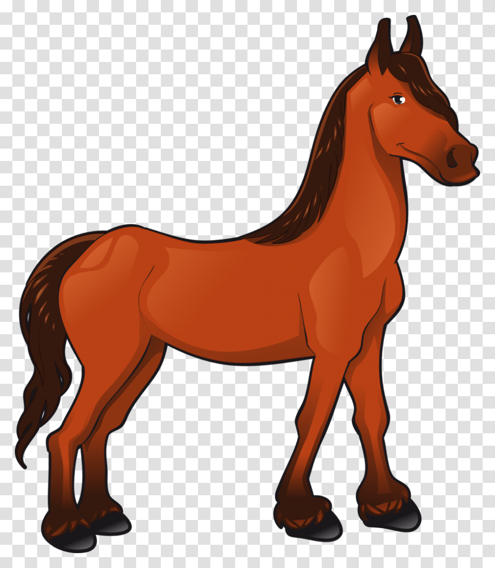 Horse, Mammal, Animal, Colt Horse Transparent Png