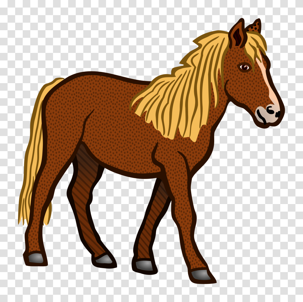 Horse, Mammal, Animal, Colt Horse, Wildlife Transparent Png