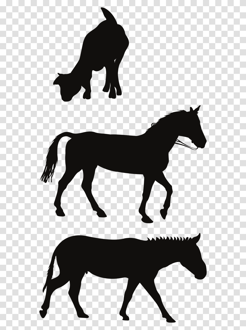 Horse, Mammal, Animal, Foal, Silhouette Transparent Png