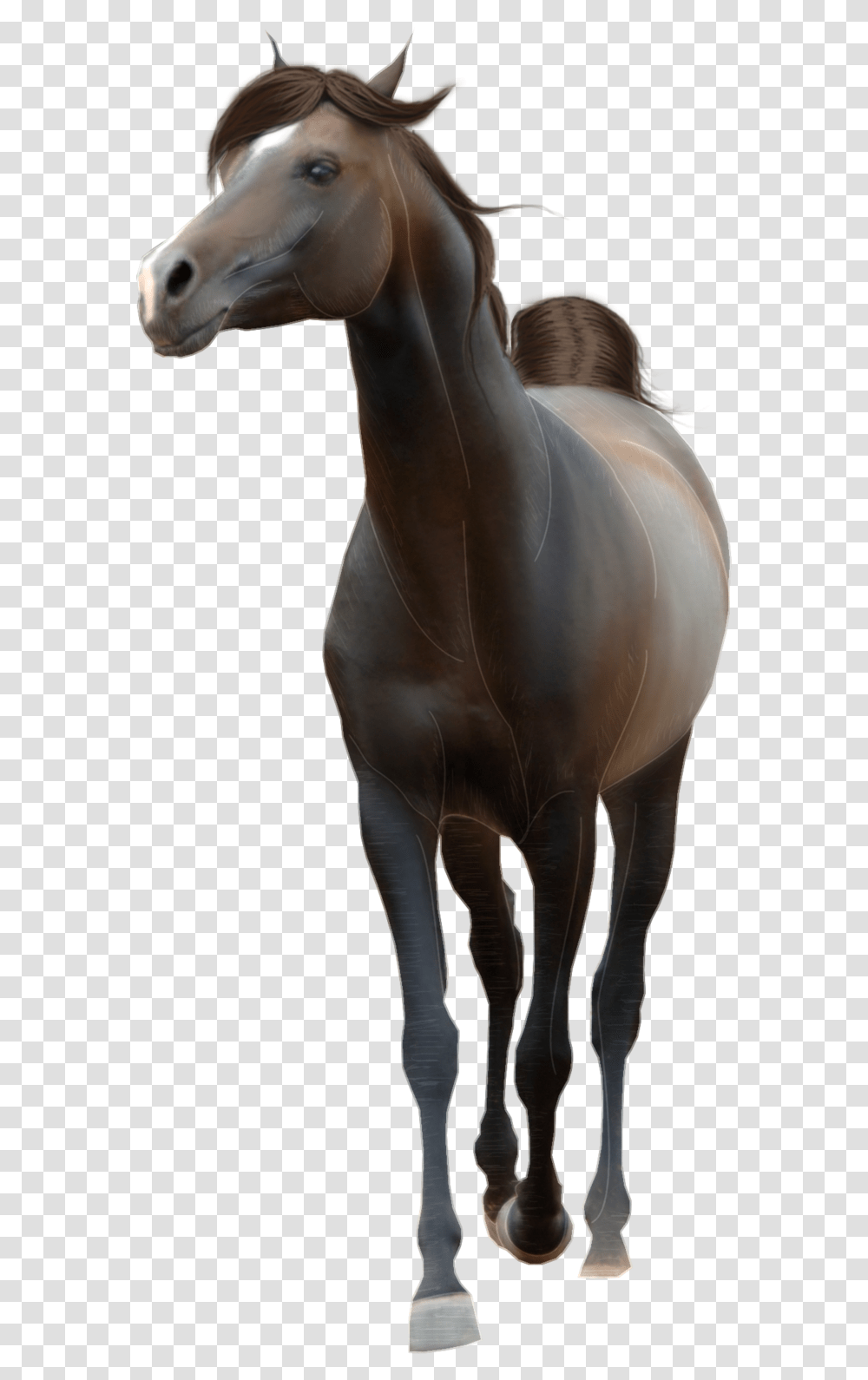 Horse, Mammal, Animal, Sea Life, Colt Horse Transparent Png