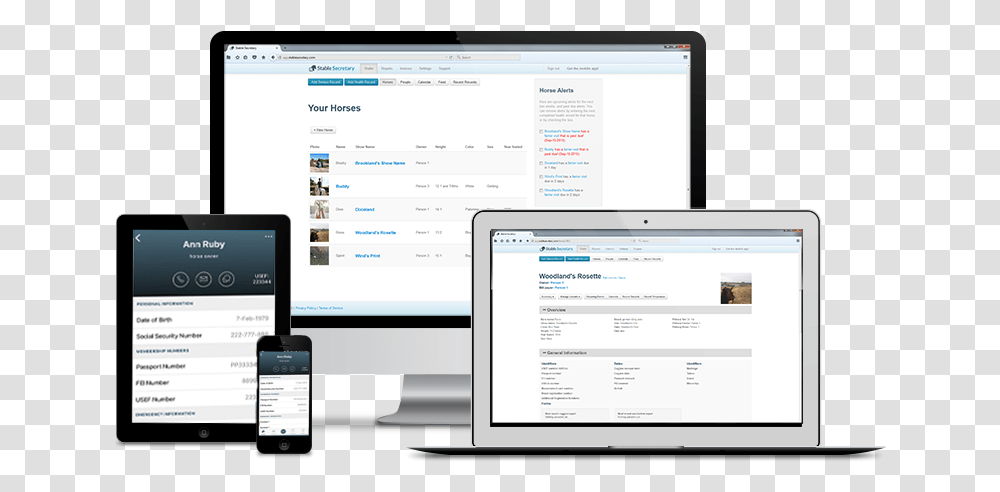 Horse Management Software, Computer, Electronics, Mobile Phone, Cell Phone Transparent Png