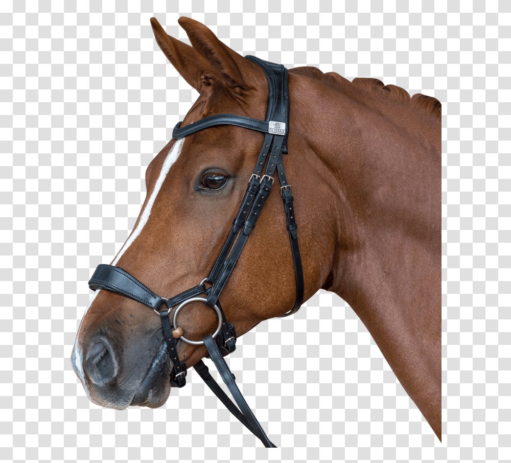 Horse Mask Fairfax Drop Noseband Bridle, Mammal, Animal, Spoke, Machine Transparent Png