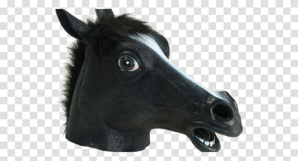 Horse Mask Horse, Beak, Bird, Animal, Snout Transparent Png