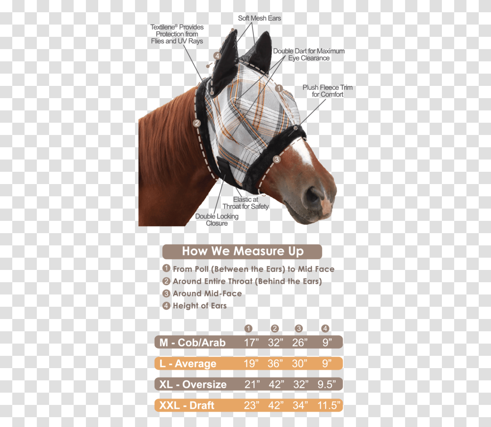 Horse Mask Measure A Horse For A Fly Mask, Mammal, Animal, Accessories Transparent Png