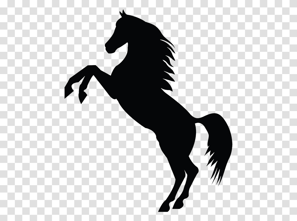 Horse On Hind Legs Silhouette, Mammal, Animal, Person, Human Transparent Png