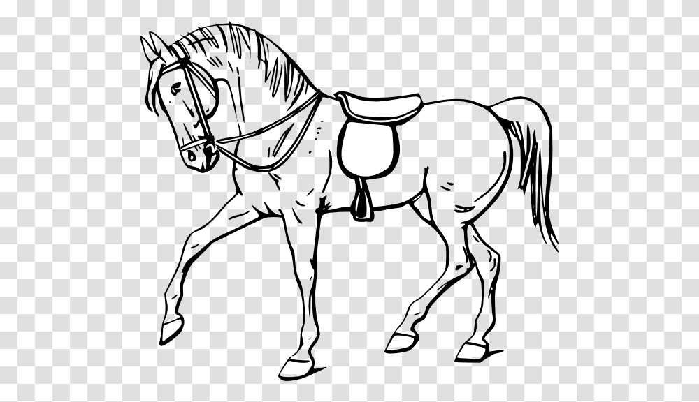 Horse Outline Clipart, Mammal, Animal, Colt Horse, Foal Transparent Png