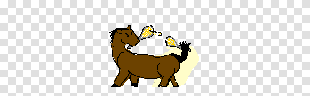 Horse Playing Tennis Against Itself Drawing, Animal, Mammal, Person, Human Transparent Png