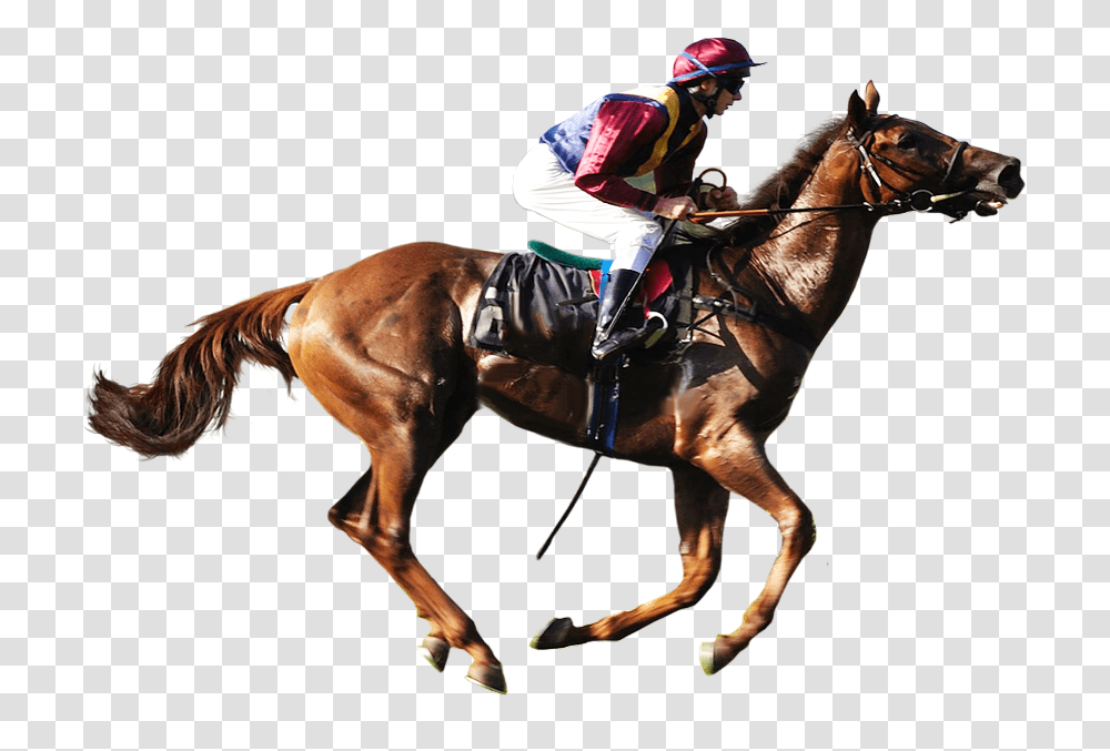 Horse Racing Background Image Horse Racing, Person, Human, Mammal, Animal Transparent Png