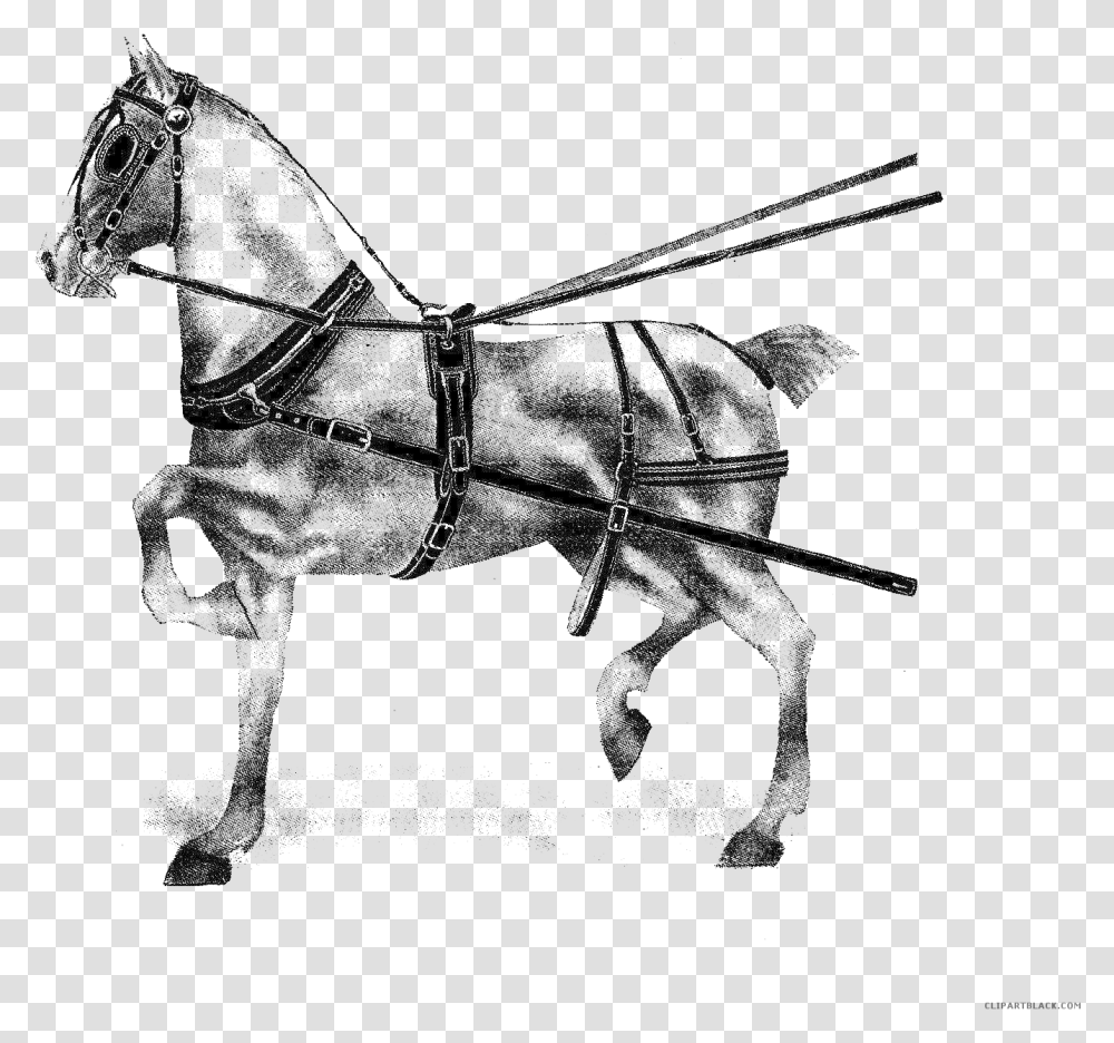 Horse Racing Clipart Stallion, Animal, Invertebrate, Insect, Mammal Transparent Png