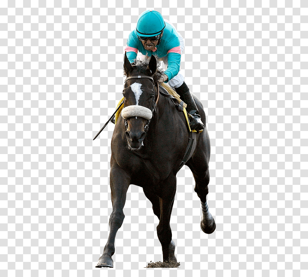 Horse Racing Jockey Horse Racing Images, Mammal, Animal, Person, Equestrian Transparent Png
