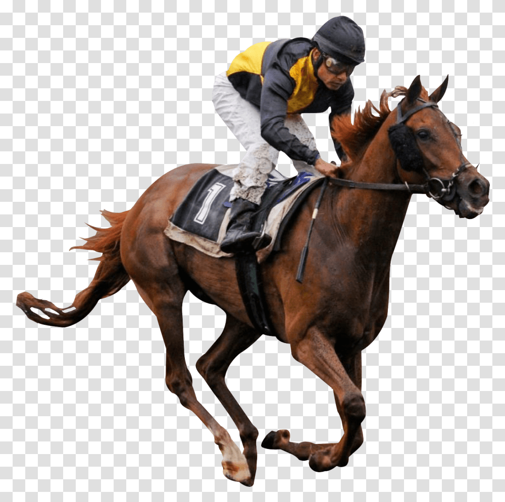 Horse Racing, Mammal, Animal, Equestrian, Person Transparent Png