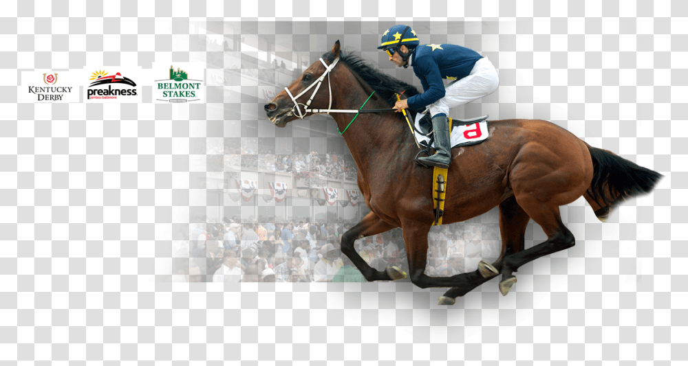 Horse Racing Wagering Halter, Mammal, Animal, Person, Helmet Transparent Png