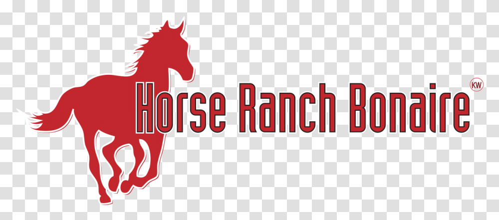 Horse Ranch Bonaire, Alphabet, Logo Transparent Png