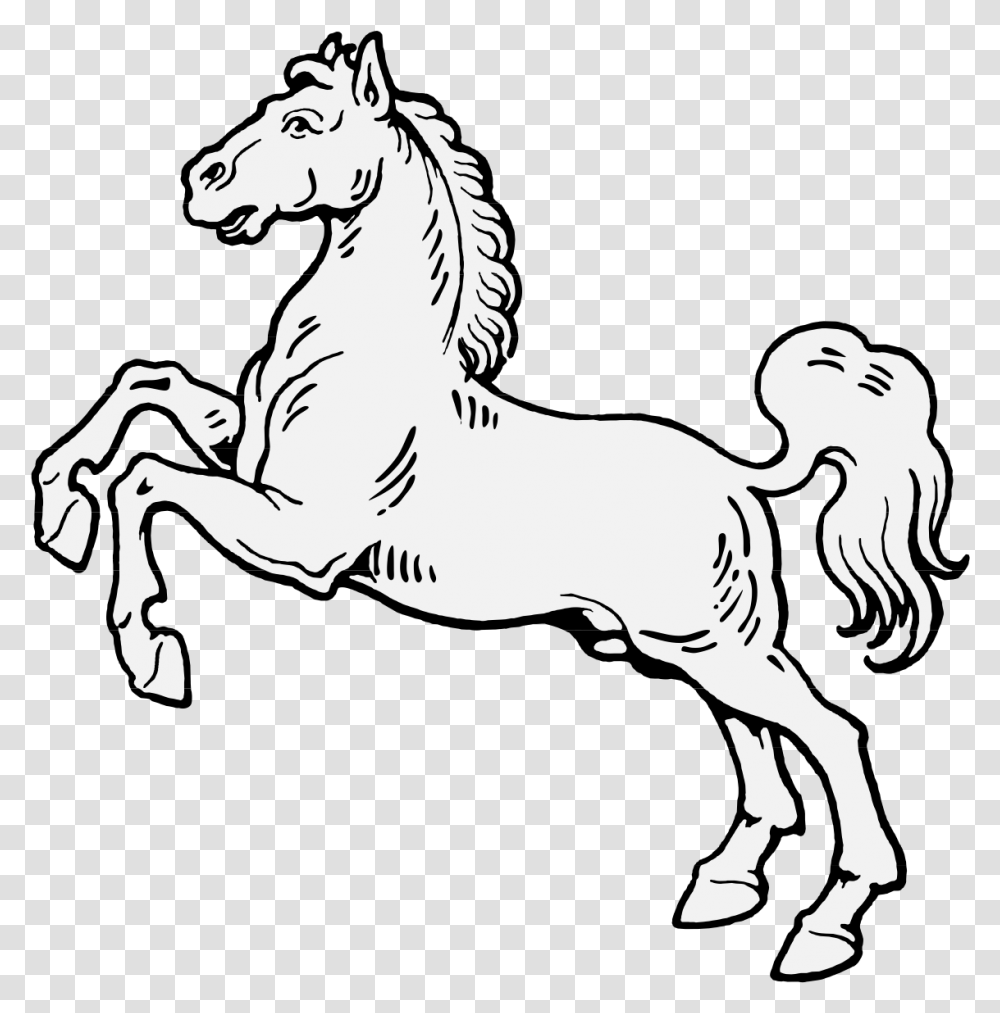 Horse Rearing Up Coloring Page, Mammal, Animal, Colt Horse, Andalusian Horse Transparent Png