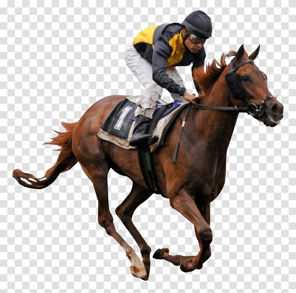 Horse Ride Image, Animals, Equestrian, Person, Mammal Transparent Png