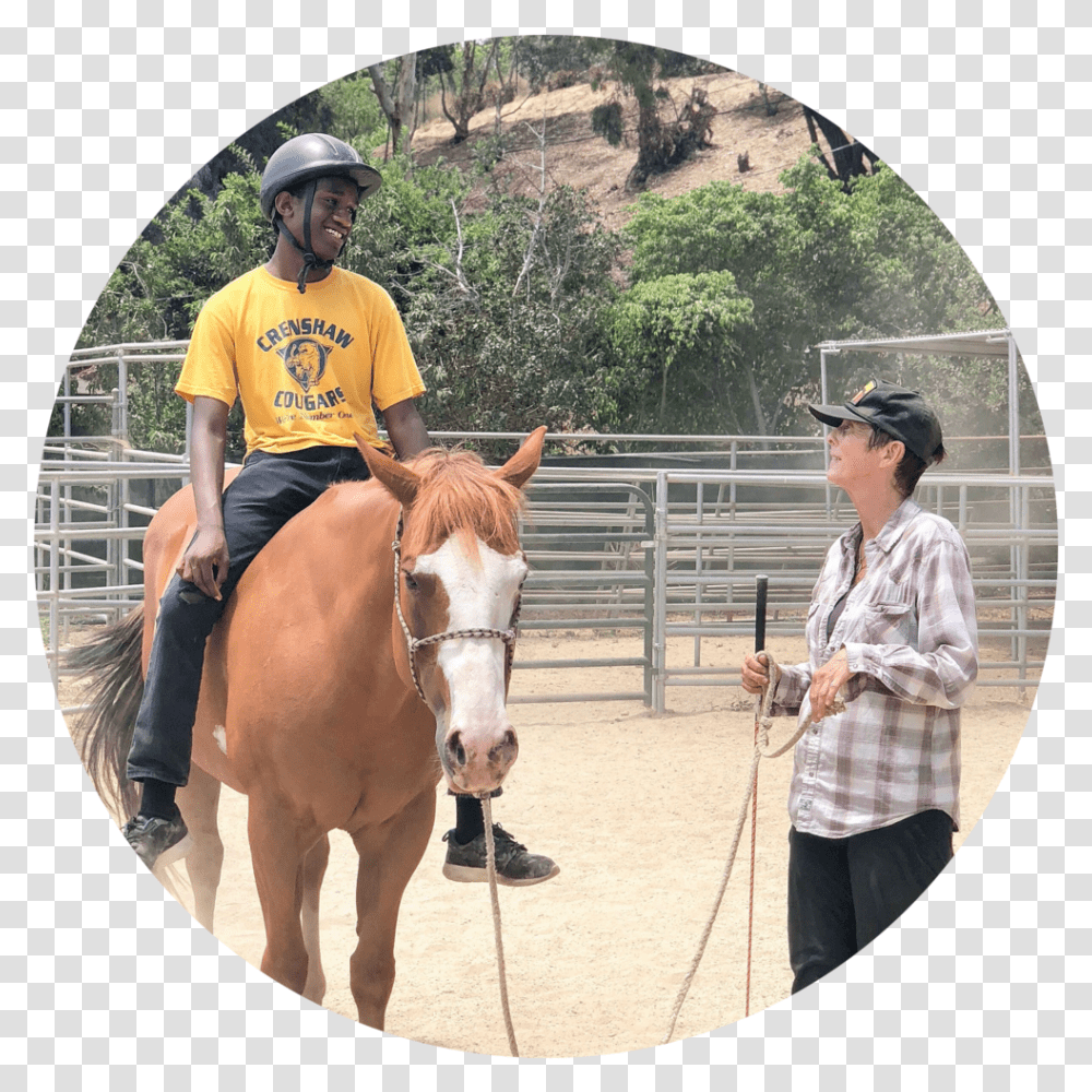 Horse Ride Sorrel, Person, Human, Mammal, Animal Transparent Png