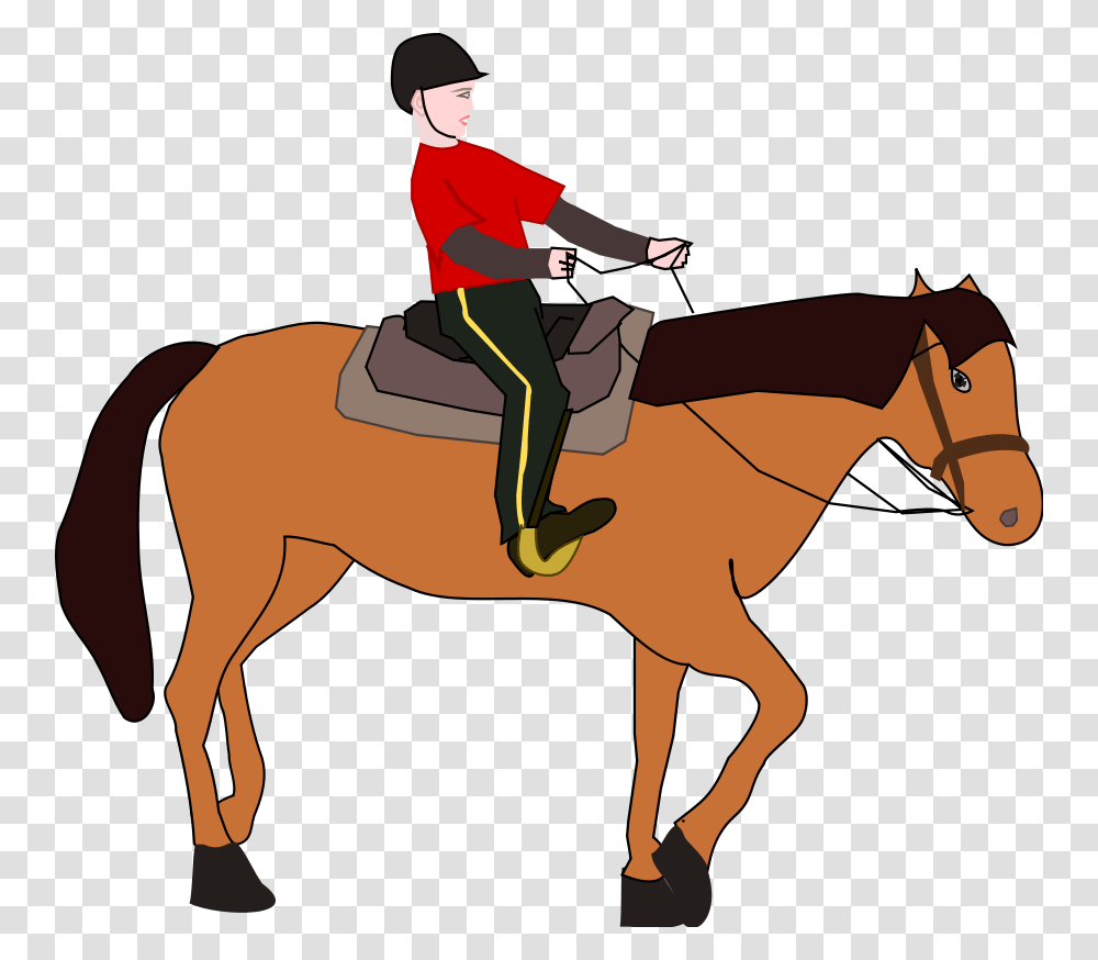 Horse Rider Clipart, Mammal, Animal, Equestrian, Person Transparent Png