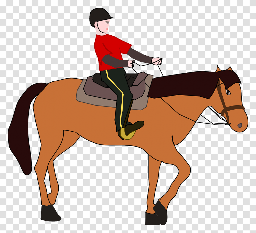 Horse Riding Clipart, Person, Human, Mammal, Animal Transparent Png