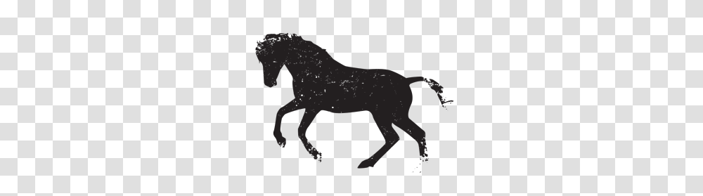 Horse Riding Clipart Western Horse Head, Foal, Mammal, Animal, Colt Horse Transparent Png