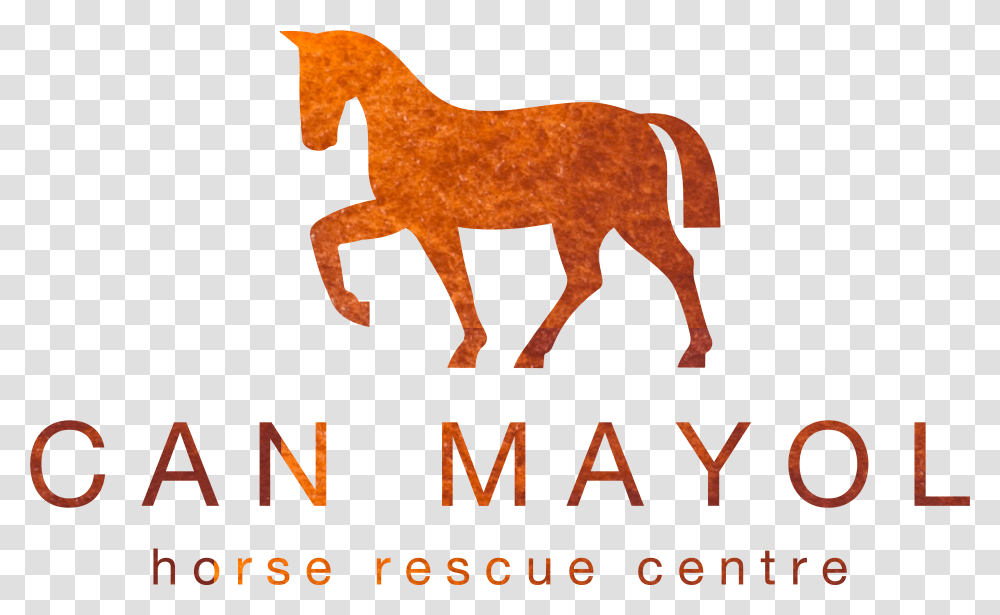 Horse Riding Icon, Poster, Advertisement, Mammal, Animal Transparent Png