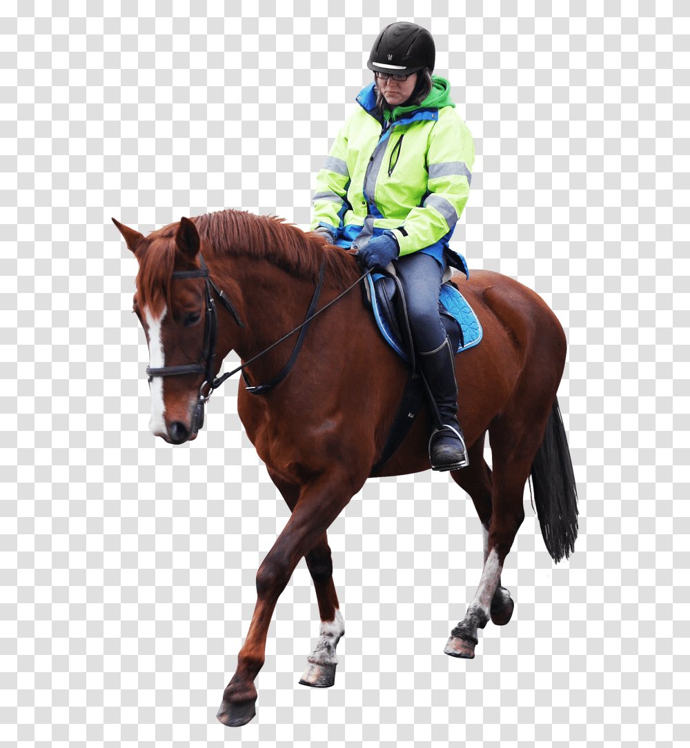 Horse Riding Person Riding Horse, Mammal, Animal, Helmet Transparent Png
