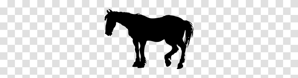 Horse Riding Silhouette Clip Art, Gray, World Of Warcraft Transparent Png