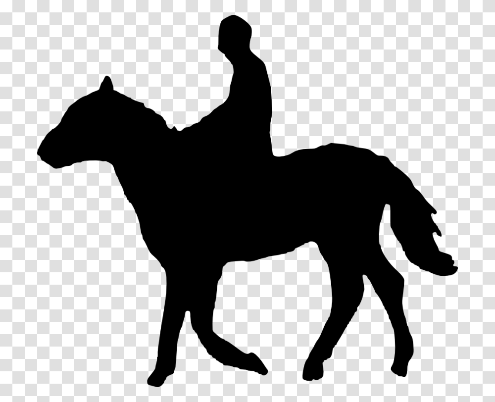 Horse Riding Silhouette, Mammal, Animal, Stencil Transparent Png